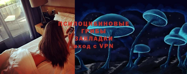 каннабис Арсеньев