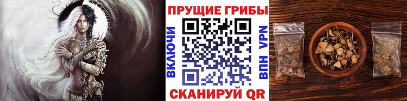Галлюциногенные грибы мицелий Армянск
