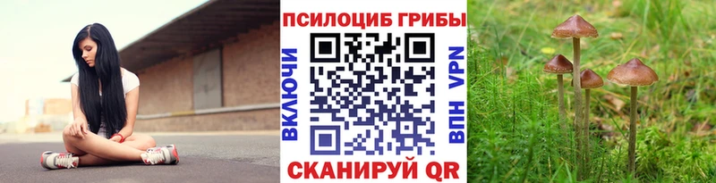 дарнет шоп  Армянск  Псилоцибиновые грибы мухоморы 