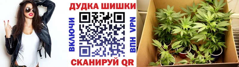 Марихуана White Widow  наркотики  Армянск 